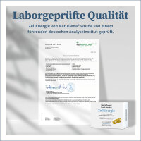 ZellEnergie